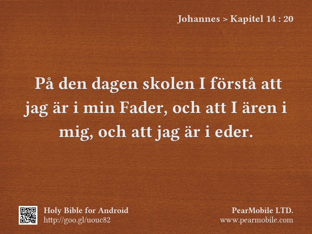 Johannes, Kapitel 14:20